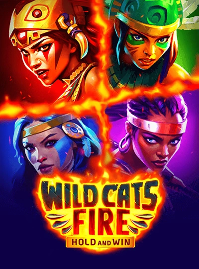 slotbd new game